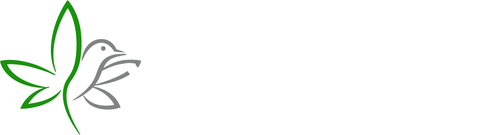 Instituto Salvo Conduto